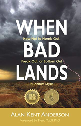 Stock image for When Bad Lands: How Not to Numb Out, Freak Out, or Bottom Out-Buddhist Style for sale by HPB-Emerald