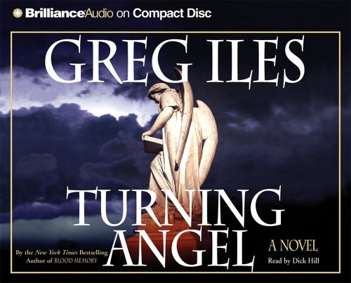 Imagen de archivo de Turning Angel a la venta por Half Price Books Inc.