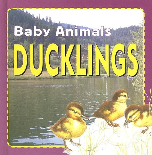 Ducklings (Baby Animals) (9781596040342) by Petty, Kate