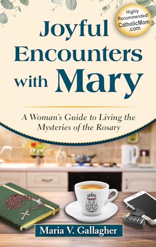 Stock image for Joyful Encounters with Mary: A Woman's Guide to Living the Mysteries of the Rosary for sale by Dream Books Co.