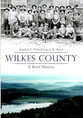 Imagen de archivo de Wilkes County, North Carolina: A Brief History a la venta por Irish Booksellers