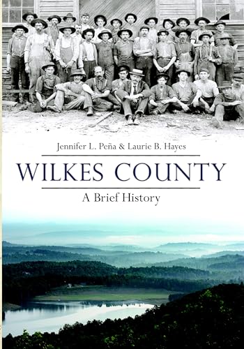 9781596293229: Wilkes County: A Brief History