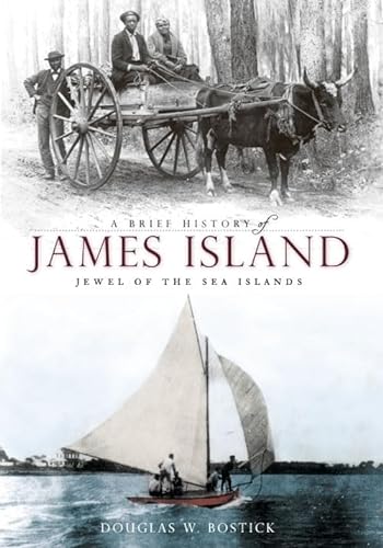 Stock image for A Brief History of James Island: Jewel of the Sea Islands for sale by Books From California