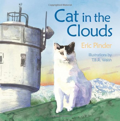 9781596296800: Cat in the Clouds