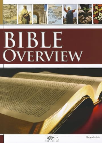 Stock image for Bible Overview for sale by Wonder Book