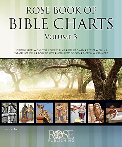 9781596368699: Rose Book of Bible Charts (3)