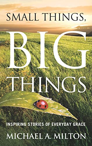 Stock image for Small Things, Big Things: Inspiring Stories of Everyday Grace for sale by ThriftBooks-Atlanta