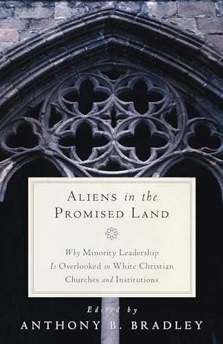 Stock image for Aliens in the Promised Land: Why Minority Leadership Is Overlooked in White Christian Churches and Institutions for sale by SecondSale