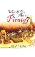 Beispielbild fr What If You Met a Pirate? zum Verkauf von Better World Books