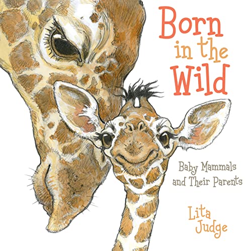 9781596439252: Born in the Wild: Baby Mammals and Their Parents
