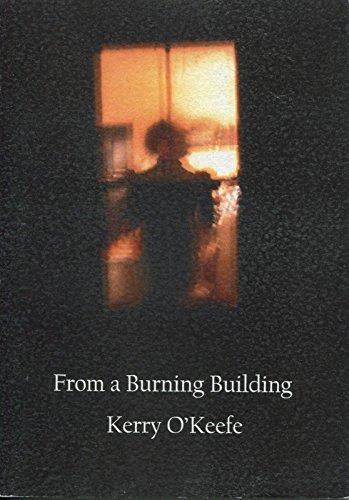 9781596610361: From a Burning Building