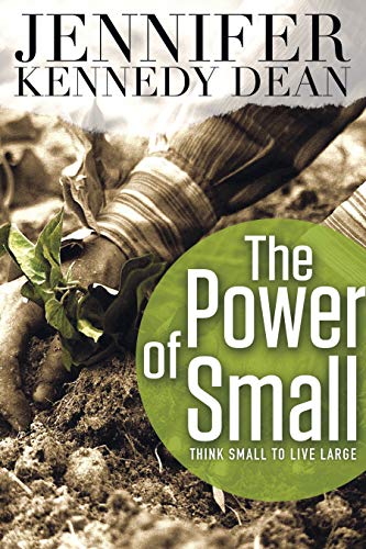 Imagen de archivo de The Power of Small: Think Small to Live Large a la venta por BooksRun