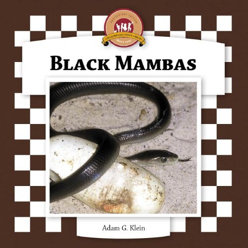Black Mambas (Snakes Set II) (9781596792784) by Klein, Adam G.