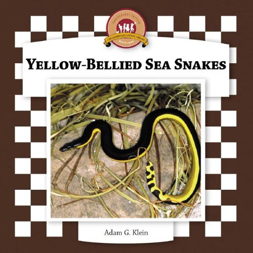Yellow-bellied Sea Snakes (Snakes Set II) (9781596792814) by Klein, Adam G.