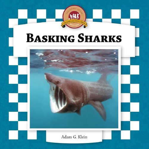 Stock image for Basking Sharks for sale by Better World Books