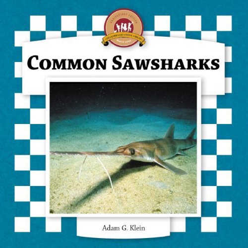 Common Sawsharks (Sharks Set II) (9781596792869) by Klein, Adam G.