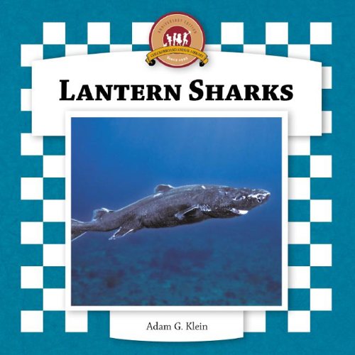 Stock image for Lantern Sharks (Sharks Set II) for sale by Ergodebooks