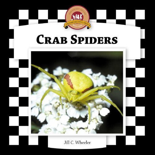 Crab Spiders (Spiders Set II) (9781596792920) by Wheeler, Jill C.
