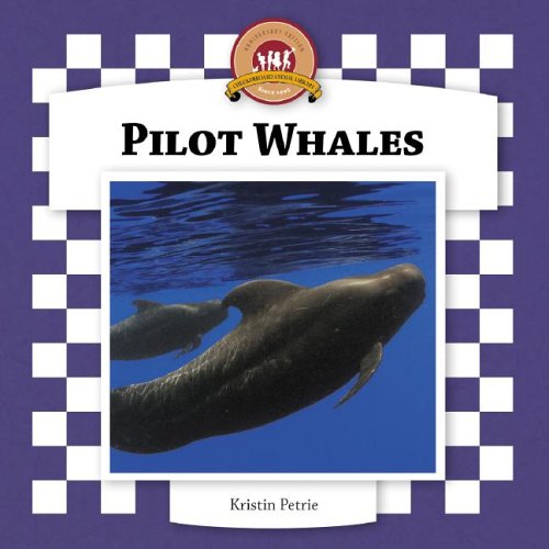 9781596793118: Pilot Whales (Whales Set II)