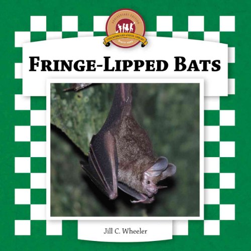 9781596793217: Fringe-lipped Bats (Bats Set II)