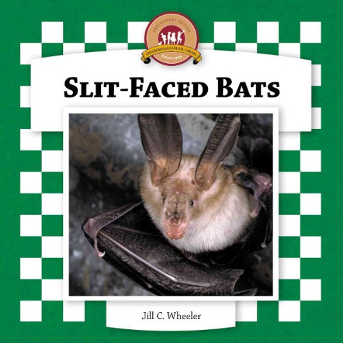 Slit-faced Bats (Bats Set II) (9781596793231) by Wheeler, Jill C.