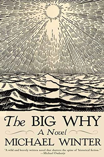 Imagen de archivo de The Big Why : A Novel a la venta por Better World Books: West
