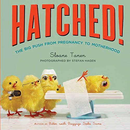 9781596912779: Hatched!: The Big Push from Pregnancy to Motherhood