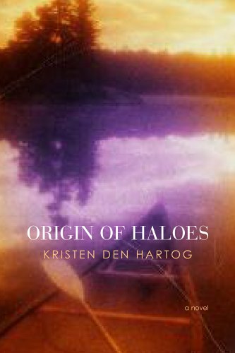 Origin of Haloes. A Novel