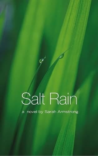 Beispielbild fr Salt Rain zum Verkauf von PBShop.store US