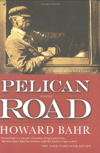 Beispielbild fr Pelican Road zum Verkauf von Atlantic Books