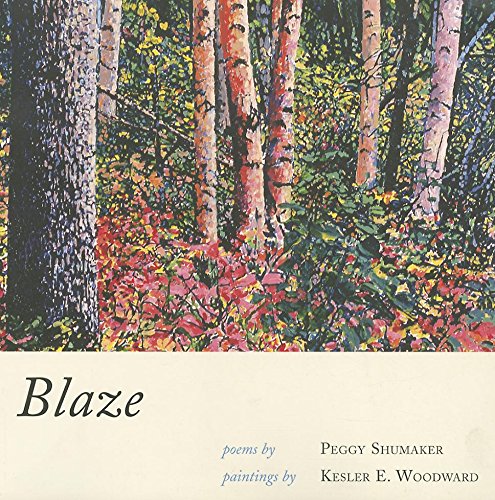 Beispielbild fr Blaze zum Verkauf von Blackwell's