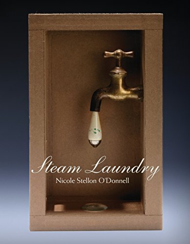 Imagen de archivo de Steam Laundry a la venta por BooksRun