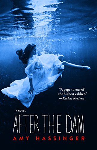 Stock image for AFTER THE DAM for sale by Kennys Bookstore