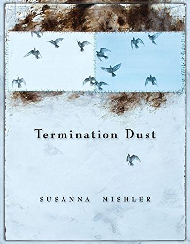 9781597099707: Termination Dust