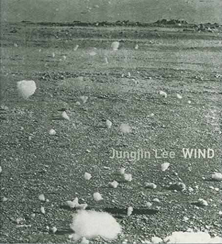 9781597111287: Jungjin Lee: Wind
