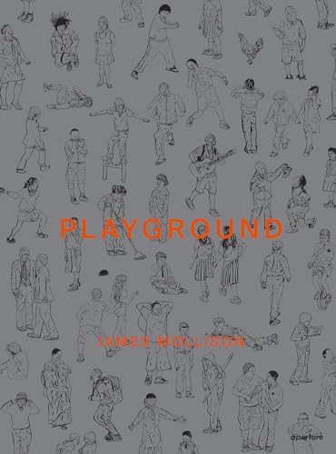 Stock image for James Mollison: Playground for sale by Midtown Scholar Bookstore