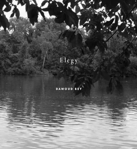 Imagen de archivo de Dawoud Bey: Elegy (Hardcover) a la venta por Grand Eagle Retail