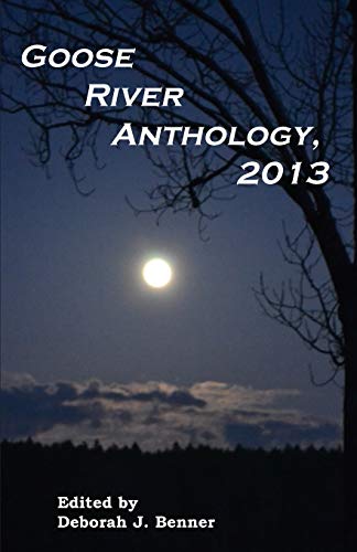 Stock image for Goose River Anthology, 2013 for sale by Wonder Book