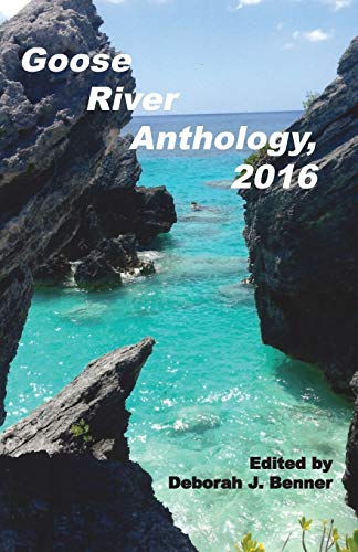 Stock image for Goose River Anthology, 2016 for sale by PBShop.store US