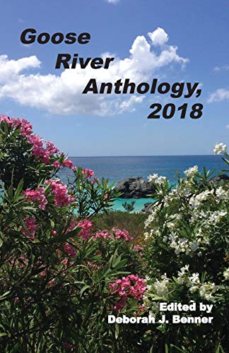 Stock image for Goose River Anthology, 2018 for sale by Lucky's Textbooks