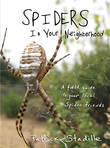 Beispielbild fr Spiders in Your Neighborhood: A Field Guide to Your Local Spider Friends zum Verkauf von BooksRun