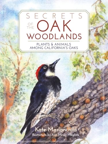 Imagen de archivo de Secrets of the Oak Woodlands: Plants and Animals Among California's Oaks a la venta por HPB Inc.