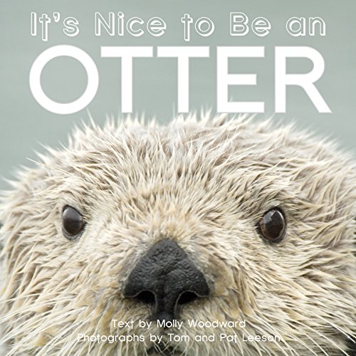 Stock image for It's Nice to Be an Otter for sale by Revaluation Books