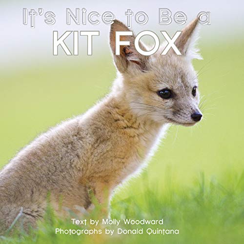 Stock image for It's Nice to Be a Kit Fox for sale by HPB-Diamond