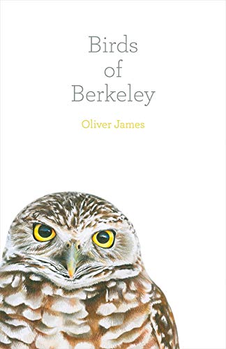Beispielbild fr Birds of Berkeley zum Verkauf von Better World Books