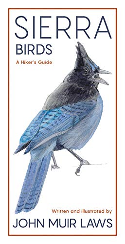 Stock image for Sierra Birds: A Hiker's Guide for sale by Lakeside Books