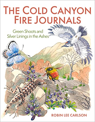 Stock image for The Cold Canyon Fire Journals: Green Shoots and Silver Linings in the Ashes for sale by ThriftBooks-Atlanta