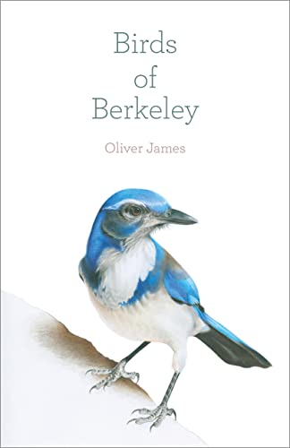 Imagen de archivo de BIRDS OF BERKELEY a la venta por Red's Corner LLC