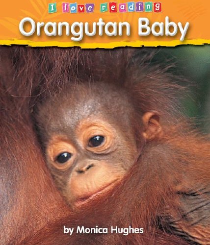 Beispielbild fr Orangutan Baby zum Verkauf von Better World Books: West