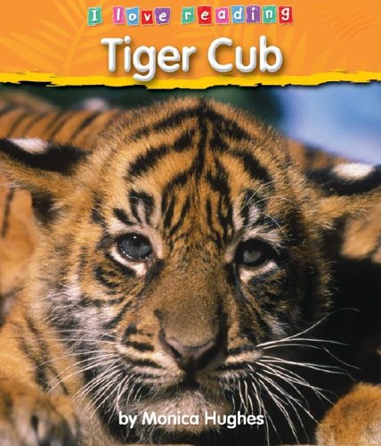 9781597161558: Tiger Cub (I Love Reading (Hardcover))